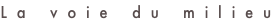 shapeimage_8_link_0
